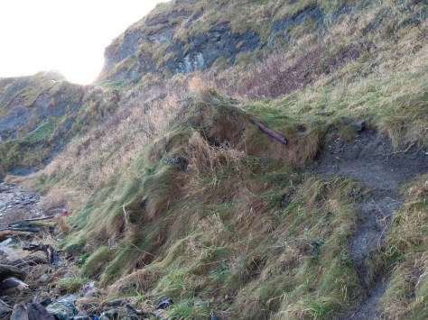 IMG_20180204_095744407 (1).jpg