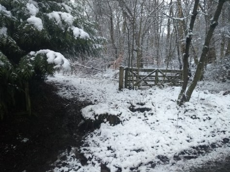 IMG_20180206_095308280