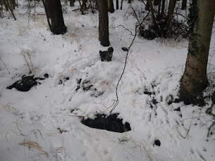 IMG_20180304_103248313