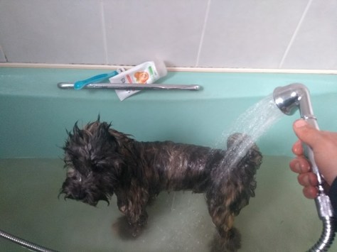 IMG_20180314_104734248