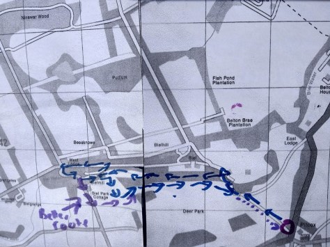 IMG_20180514_124633005_HDR (1).jpg