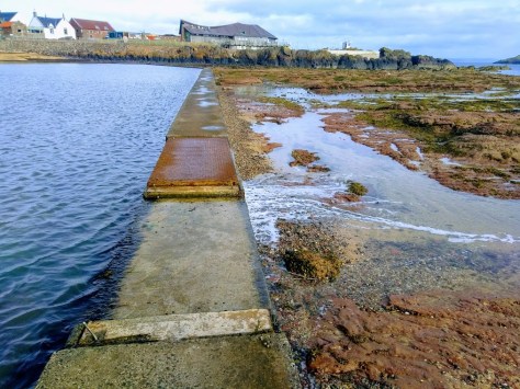 IMG_20180615_074905836-EFFECTS