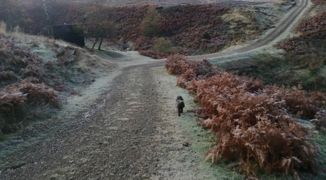 The Gododdin Heritage Trail: White Castle to Green Castle