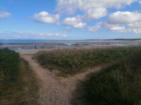 IMG_20200428_112228_1