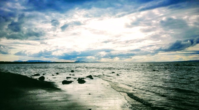 Canty Woods – Daisy Way – Longniddry Bents