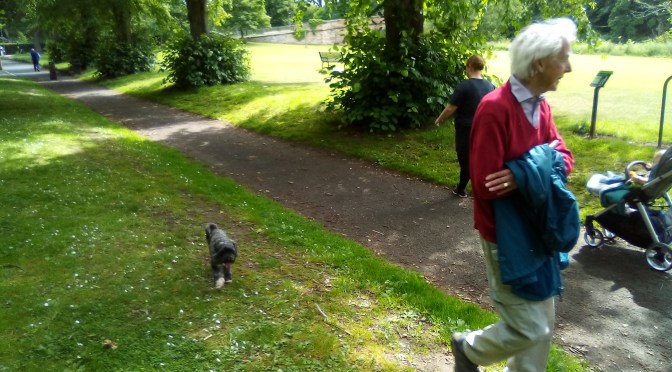 Beside the Sunny Tyne